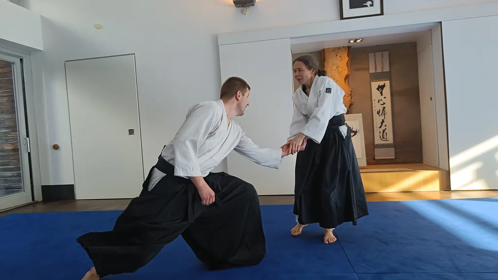 Aikido vs BJJ – yhtäläisyydet ja erot