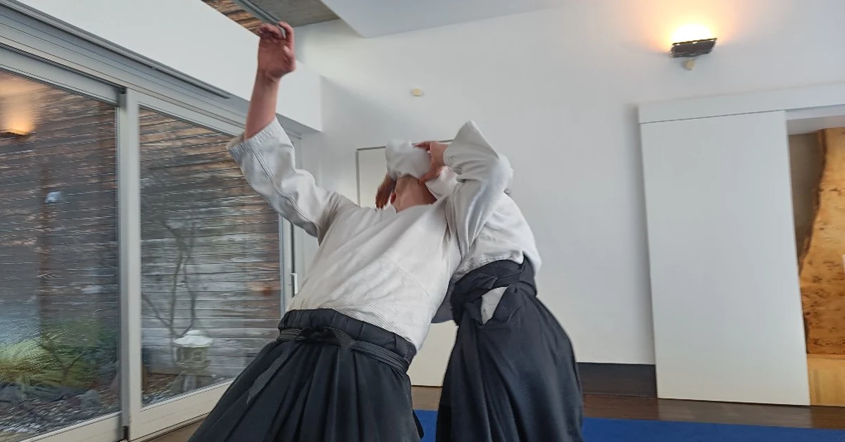 Aikido: The Dance of Machine and Operator