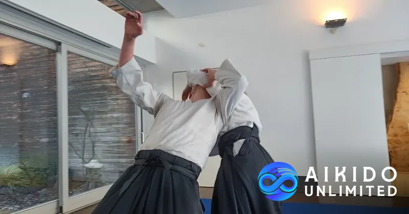 Aikido: Koneen ja operaattorin tanssi