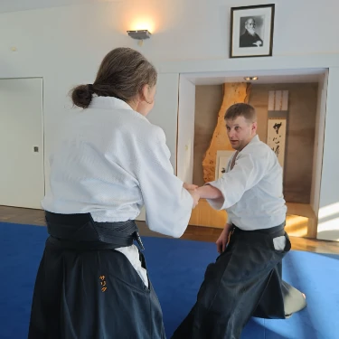 Family aikido training